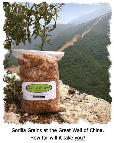 Gorilla Grains granola is the perfect traveling snack
